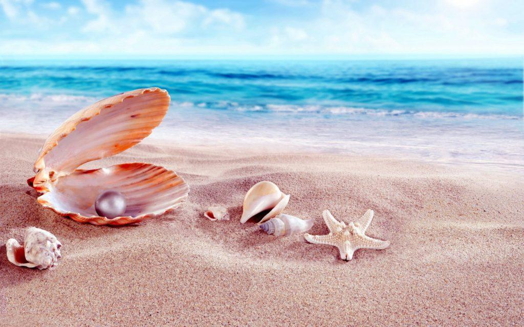 Live Aquarium wallpaper APK for Android Download Live Aquarium wallpaper APK for Android Download