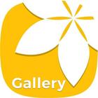 Gallery 图标