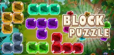 Block Puzzle New