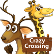 Crazy Crossing