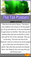 Bible Story : The Ten Plagues screenshot 1