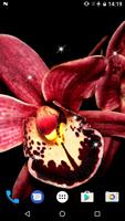 Orchid Live Wallpaper capture d'écran 1