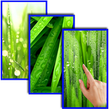 Grass HD Live Wallpaper