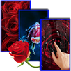 Roses Live Wallpaper APK
