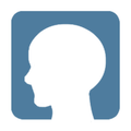 In Brain (Image memorization)