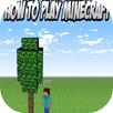 How to Play Mine craft APK