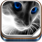 cat live wallpaper 图标