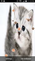 2 Schermata cat live wallpaper