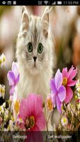 Cute Cat Live Wallpaper 포스터