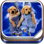 Cute Puppy Live Wallpaper آئیکن