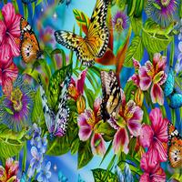 Butterfly Live Wallpaper 截圖 2