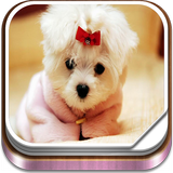 Puppy Live Wallpaper アイコン