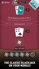 download Blackjack 21 Jogatina: Casino APK