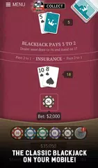 download Blackjack 21 Jogatina: Casino APK