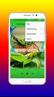 Audio Belalang Kecek Mp3 Offline screenshot 3