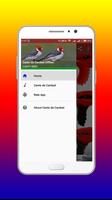 Canto de Cardeal Offline capture d'écran 1