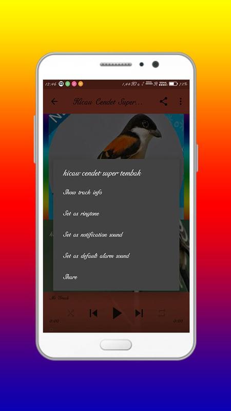 burung cendet mp3 download √ download suara burung cendet mp3 gacor untuk masteran omgacor. Com.