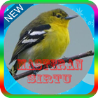 Kicau Master Burung sirtu Mp3-icoon