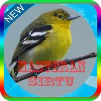 Kicau Master Burung sirtu Mp3 ポスター