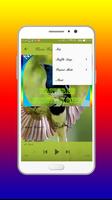 برنامه‌نما Kicauan Kacer Gacor Mp3 Offline عکس از صفحه