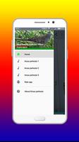 Kicau Burung Perkutut Offline syot layar 3