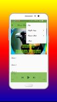 Masteran Burung Hooded Pitohui Mp3 screenshot 3