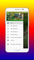 Masteran Burung Robin Offline captura de pantalla 3