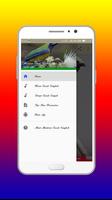 Masteran Cucak Cungkok Mp3 Offline تصوير الشاشة 2