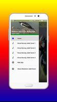 Masteran Jalak Suren Lengkap Mp3 imagem de tela 2