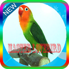 Master Kicau Lovebird Panjang Mp3 아이콘