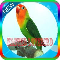 Master Kicau Lovebird Panjang Mp3 โปสเตอร์