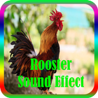 Rooster Sound Effect mp3 Offline icône