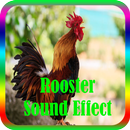 Rooster Sound Effect mp3 Offline APK