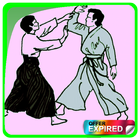 🔥🔥Aikido Technique🔥🔥 icône