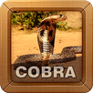 King Cobra Wallpapers APK