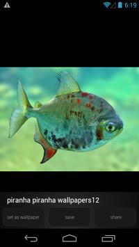 Piranha Wallpapers Apk App Free Download For Android