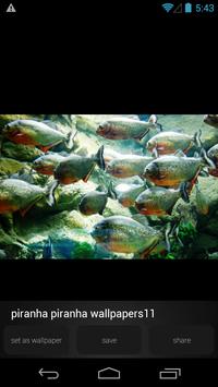 Piranha Wallpapers Apk App Free Download For Android