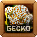 Tokay Gecko Sounds APK