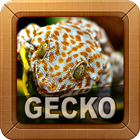 Tokay Gecko Sounds иконка