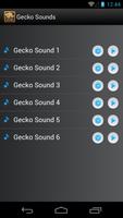 Tokay Gecko Sounds скриншот 1
