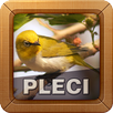 Kicau Burung Pleci Pilihan APK