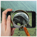 Magnifier Zoom IN/OUT APK