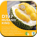 Benefits Of Durian APK