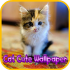 Cute Cat Wallpaper icône