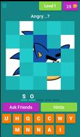 Angry Sonic Quiz poster