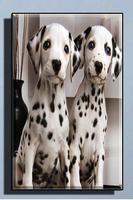 Cute Dog Wallpapers स्क्रीनशॉट 1