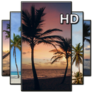 Palm Tree Wallpaper APK