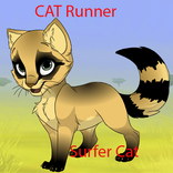 Surfer Cat Run