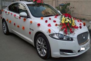 Decoration Car Wedding Ekran Görüntüsü 1