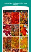 Warm Autumn Live Wallpapers পোস্টার